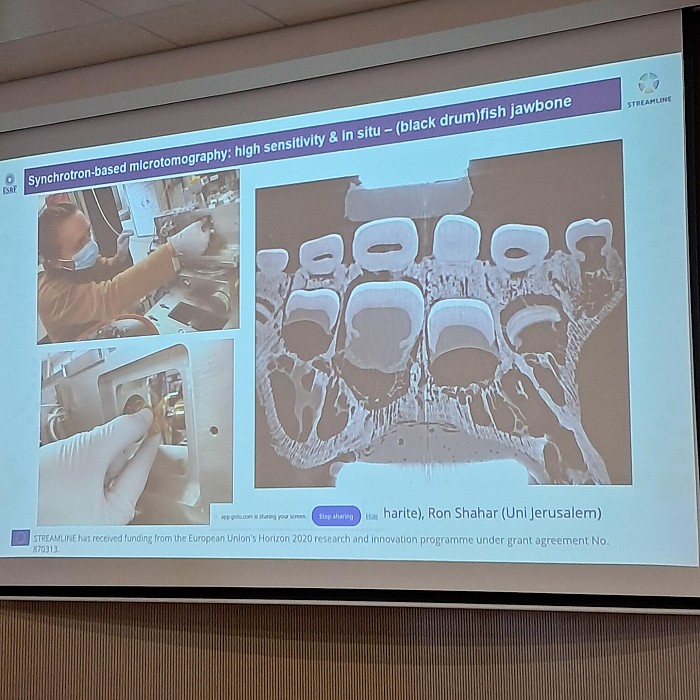Synchrotron Imaging and Battery Safety