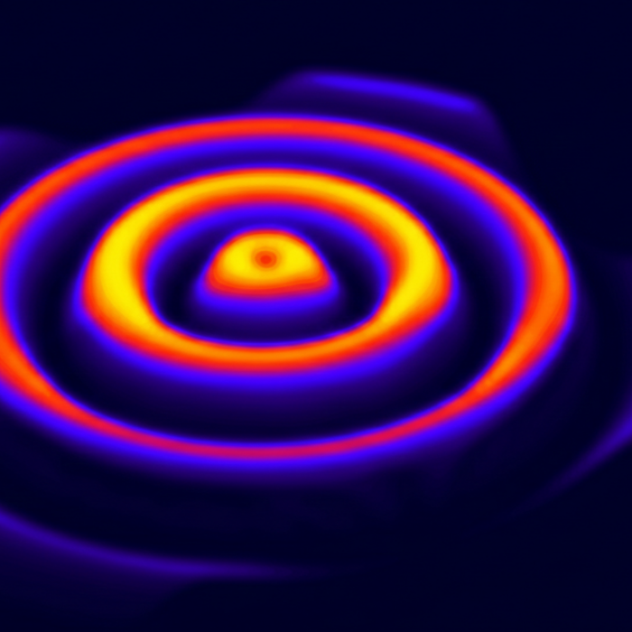 Martin Veit Publishes in the IFSJ