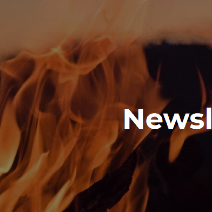 Fire Lab's article in the IAFSS Newsletter #49